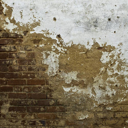 Brick Photo Backdrop - Split Grunge Wall Backdrops Loran Hygema 