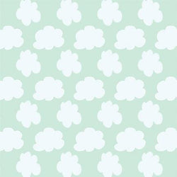 Pattern Photo Backdrop - Cloudy Day Backdrops Rachael Mosley 