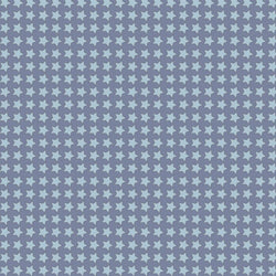 Pattern Photo Backdrop - Star Power in Bluesy Blue Backdrops SoSo Creative 