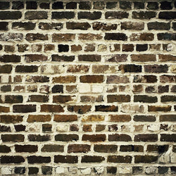 Brick Photo Backdrop - Butterscotch Backdrops Loran Hygema 