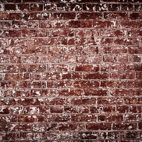 Brick Photo Backdrop - Crimson Patchy Backdrops Loran Hygema 