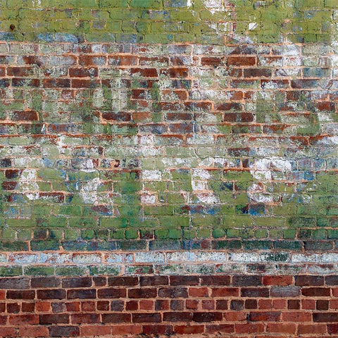 Brick Photography Backdrop - Graffiti Paint Horizontal Backdrops Loran Hygema 