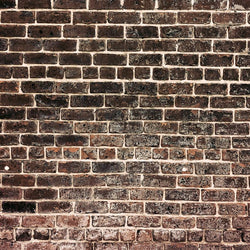Brick Photo Backdrop - Historic Discontinued Backdrops Loran Hygema 