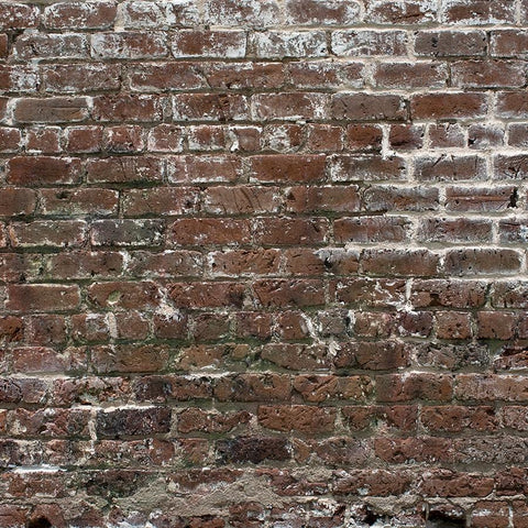 Brick Photo Backdrop - Historic Grunge Discontinued Backdrops Loran Hygema 