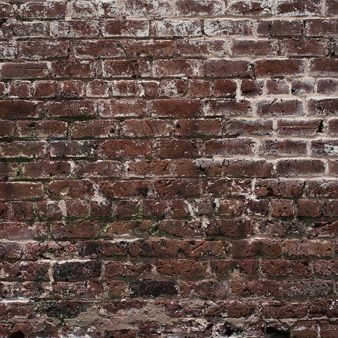 Brick Photo Backdrop Historic - Ruby Grunge Backdrops Loran Hygema 