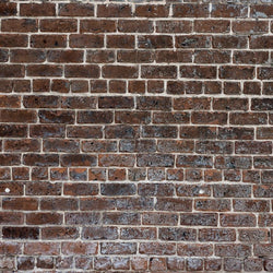 Brick Photo Backdrop - Historic Traditional Backdrops Loran Hygema 