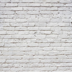 Brick Photo Backdrop - Historic Whitewash Backdrops Loran Hygema 