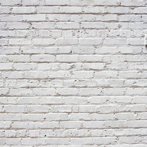 Brick Photo Backdrop - Historic Whitewash Backdrops Loran Hygema 