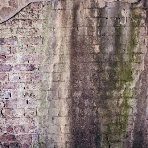 Brick Photo Backdrop Instense - Pastel Haze Backdrops Loran Hygema 