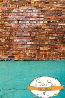 Brick Photo Backdrop - Mushroom Wall Backdrops Loran Hygema 