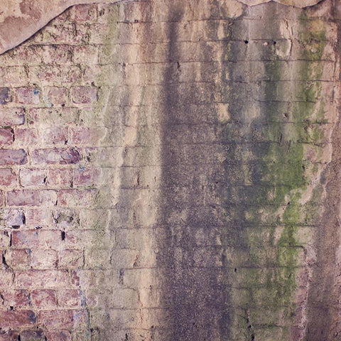 Brick Photo Backdrop - Pastel Haze Backdrops Loran Hygema 