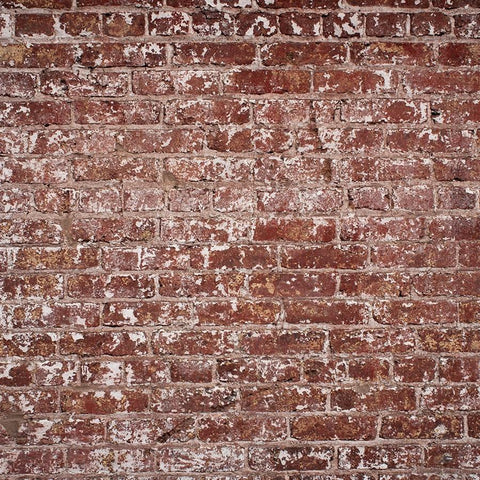 Brick Photo Backdrop - Patchy Backdrops Loran Hygema 