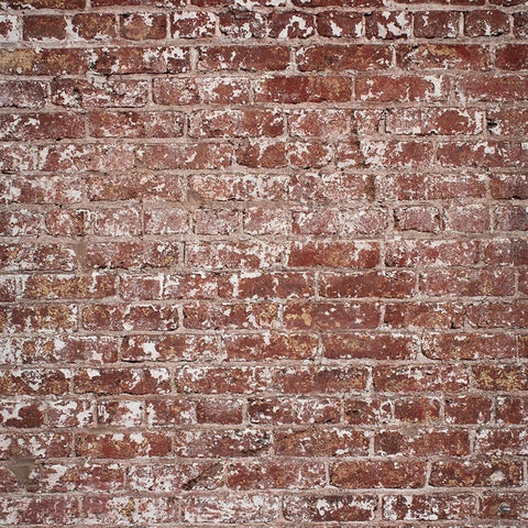 Brick Photography Backdrop - Patchy Vertical Backdrops Loran Hygema 