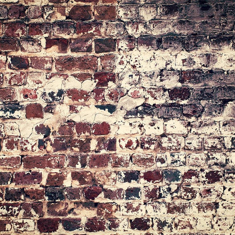 Brick Photo Backdrop - Split Wall Vertical Backdrops Loran Hygema 