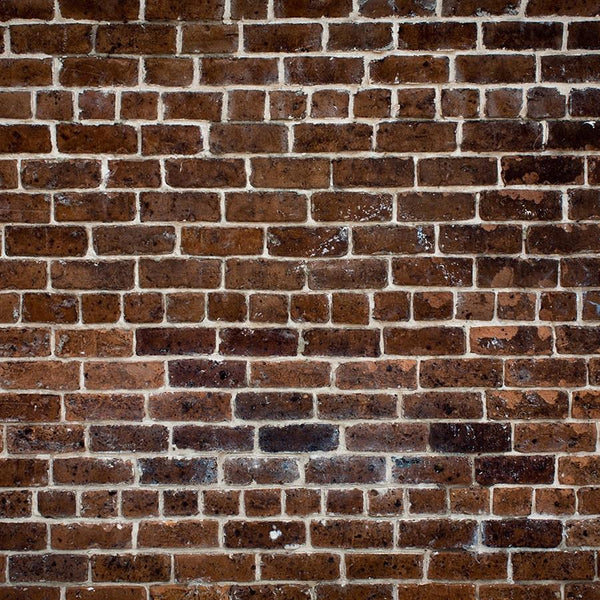Brick Photo Backdrop - Warm Traditional Backdrops Loran Hygema 