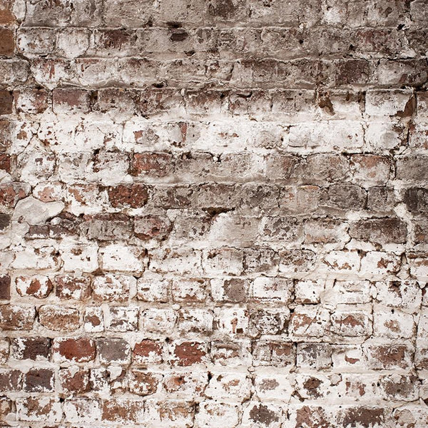 Brick Photo Backdrop - Warm Whitewash Vertical Backdrops Loran Hygema 