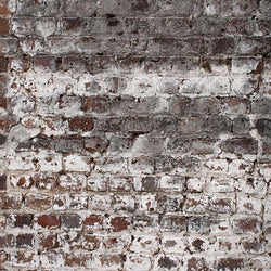 Brick Photo Backdrop - Whitewash Vertical Backdrops Loran Hygema 