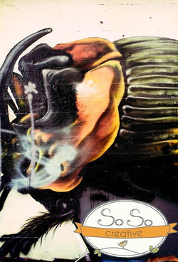 Graffiti Photo Backdrop - Big Bug Backdrops Loran Hygema 