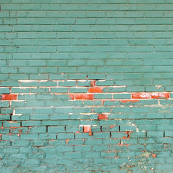Brick Photo Backdrop - Holiday Wall Horizontal Backdrops Loran Hygema 