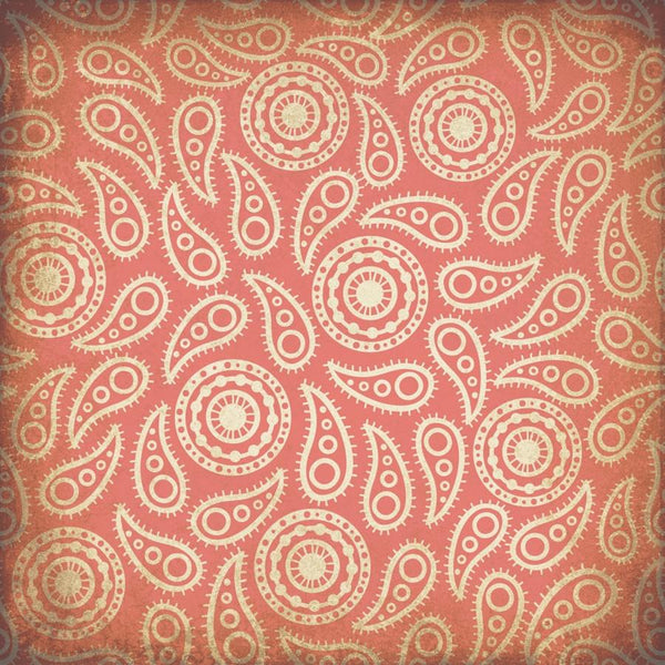 Paisley Photo Backdrop - Vintage Coral Grunge Backdrops,Whats New Wednesday! SoSo Creative 