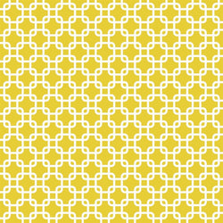 Pattern Photo Backdrop - Links in Honey Backdrops SoSo Creative 