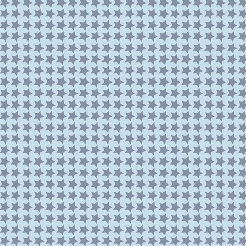 Pattern Photo Backdrop - Star Power in Cornflower Blue Backdrops SoSo Creative 