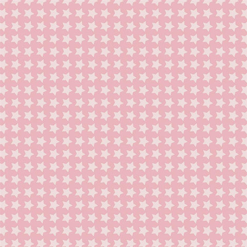 Pattern Photo Backdrop - Star Power in Sweet Pink Backdrops SoSo Creative 