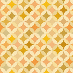Pattern Photo Backdrop - Vintage Orange Crush Backdrops SoSo Creative 
