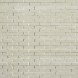 Quick Clean Brick Floordrop - Creamsicle Quick Clean Backdrops Loran Hygema 