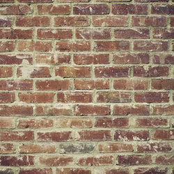 Quick Clean Brick Floordrop - The Red Wall Quick Clean Backdrops Loran Hygema 