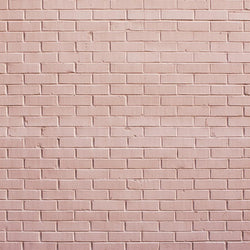 Quick Clean Brick Floordrop - Sweet Pink Quick Clean Backdrops Loran Hygema 