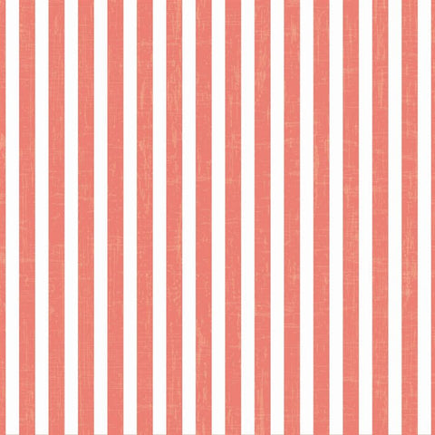 Striped Photo Backdrop - Vintage Coral Wallpaper Backdrops,Whats New Wednesday! SoSo Creative 