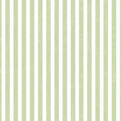 Striped Photo Backdrop - Vintage Green Wallpaper Backdrops,Whats New Wednesday! SoSo Creative 
