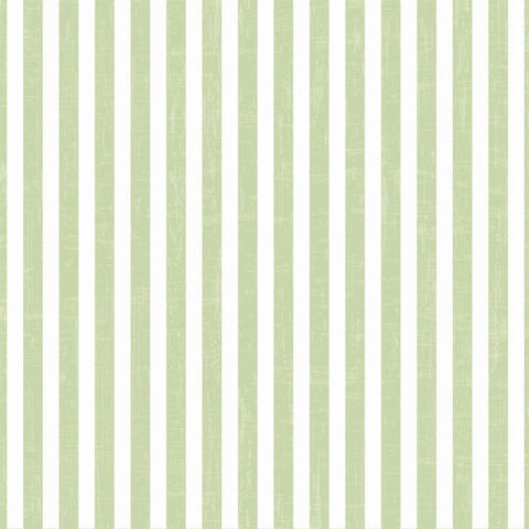 Striped Photo Backdrop - Vintage Green Wallpaper Backdrops,Whats New Wednesday! SoSo Creative 