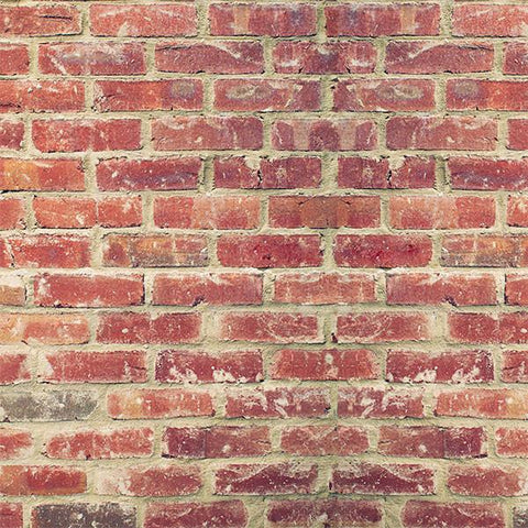 Brick Photo Backdrop - The Red Wall Backdrops,Floordrops Loran Hygema 
