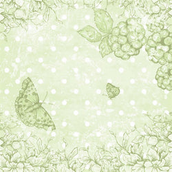 Photo Backdrop - Butterfly Scrapbook in Green Backdrops,Whats New Wednesday! SoSo Creative 