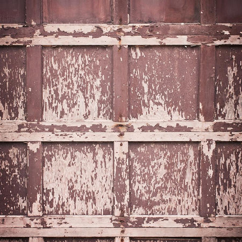 Wood Photo Backdrop - Ruby Barn Door (Vertical) Backdrops vendor-unknown 